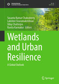 Sustainable Development Goals Series