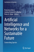 Artificial Intelligence and Networks for a Sustainable Future