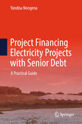 Project Financing Electricity Projects with Senior Debt