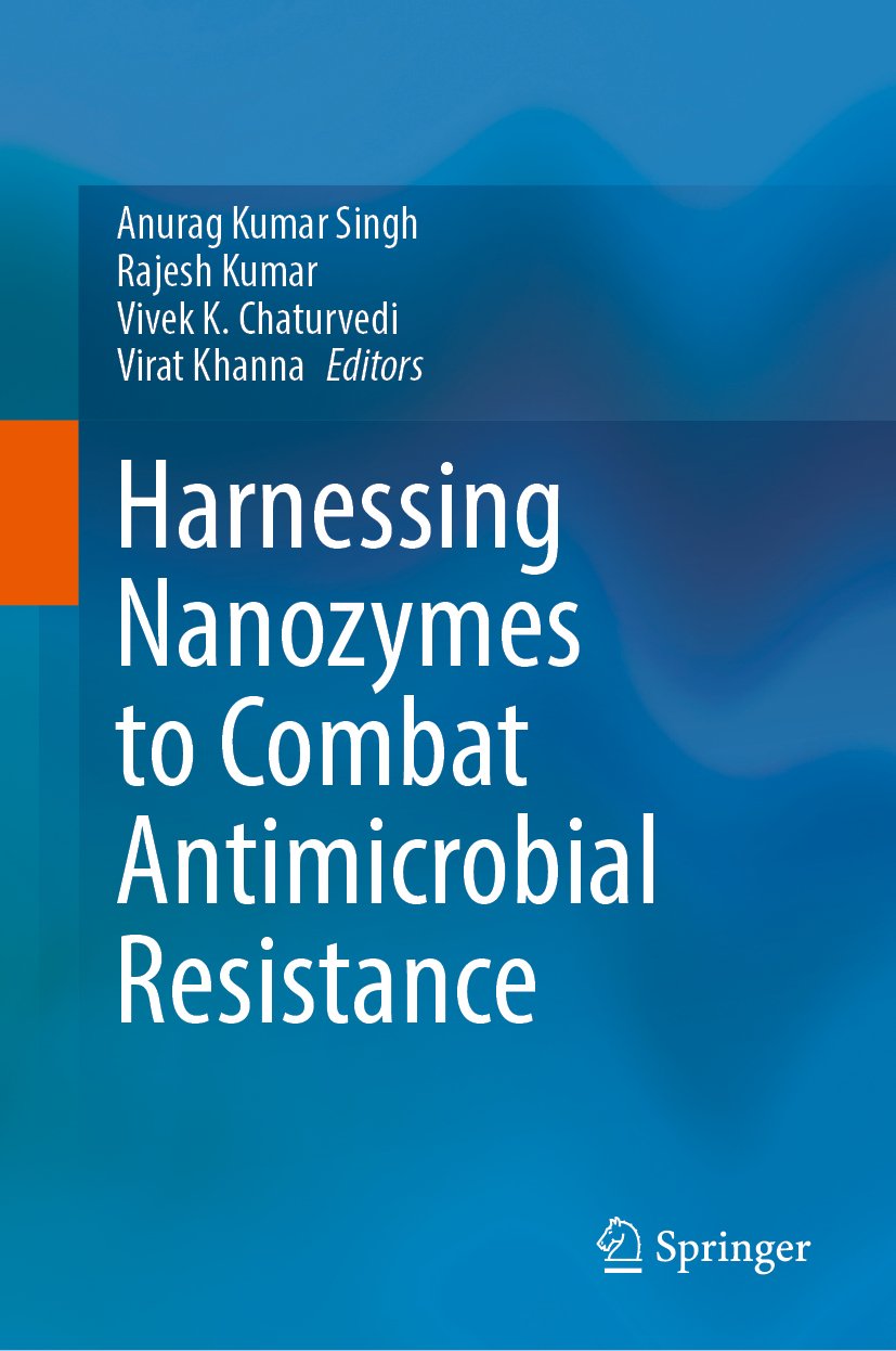 Harnessing Nanozymes to Combat Antimicrobial Resistance