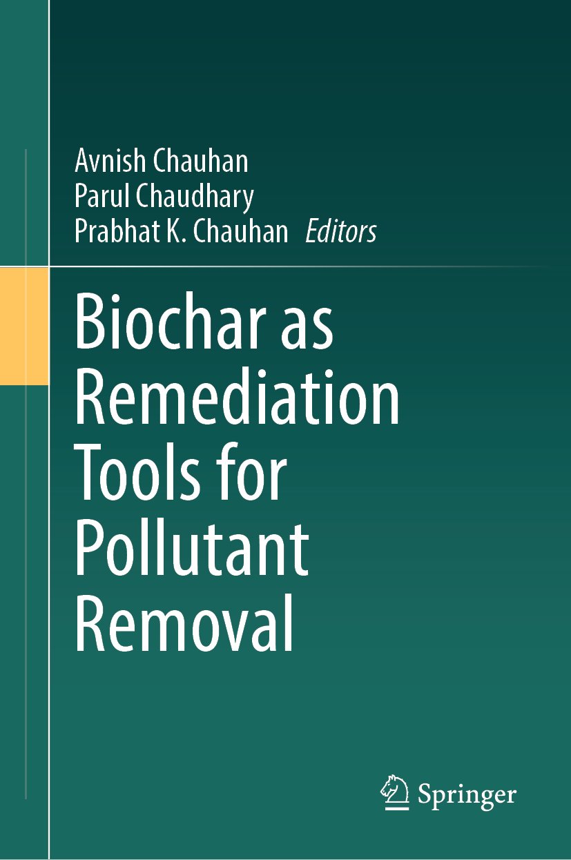 Biochar as Remediation Tools for Pollutant Removal