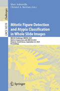 Mitotic Figure Detection and Atypia Classification in Whole Slide Images