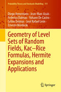 Geometry of Level Sets of Random Fields, Kac–Rice Formulas, Hermite Expansions and Applications