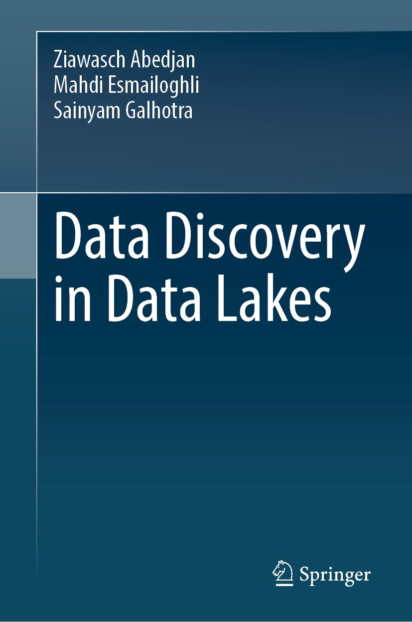 Data Discovery in Data Lakes