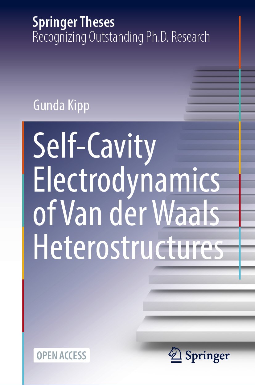 Self-Cavity Electrodynamics of Van der Waals Heterostructures