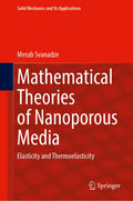 Mathematical Theories of Nanoporous Media