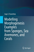 Modelling Morphogenesis Examples from Sponges, Sea Anemones, and Corals