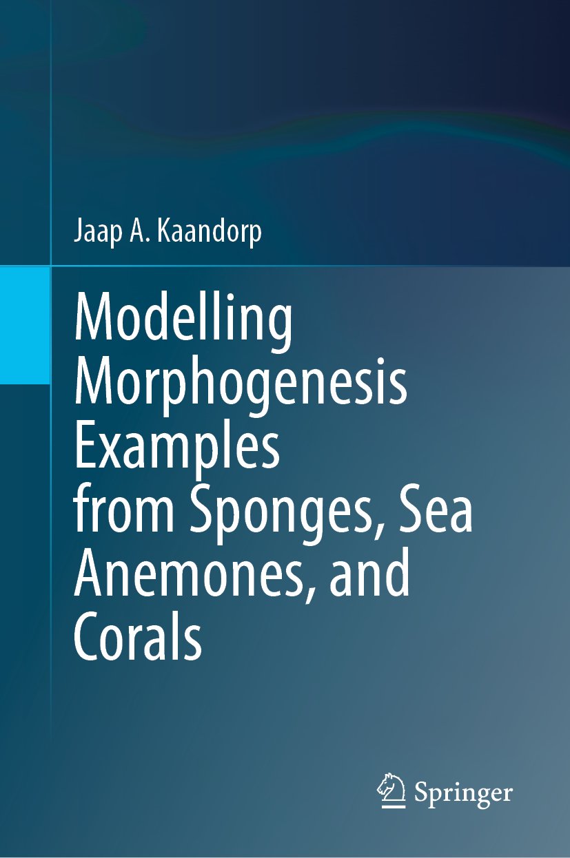 Modelling Morphogenesis Examples from Sponges, Sea Anemones, and Corals