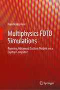 Multiphysics FDTD Simulations
