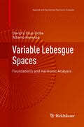 Variable Lebesgue Spaces