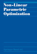 Non-Linear Parametric Optimization