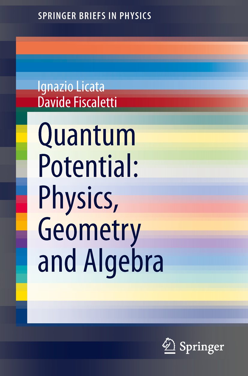 SpringerBriefs in Physics