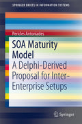 SpringerBriefs in Information Systems