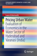 SpringerBriefs in Water Science and Technology