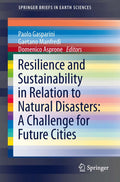 SpringerBriefs in Earth Sciences