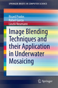 SpringerBriefs in Computer Science
