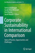 Eco-Efficiency in Industry and Science