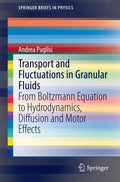 SpringerBriefs in Physics