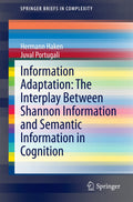 SpringerBriefs in Complexity
