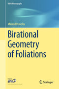 IMPA Monographs