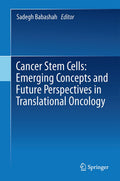 Cancer Stem Cells: Emerging Concepts and Future Perspectives in Translational Oncology