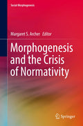Social Morphogenesis