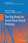 The Big Book on Small Heat Shock Proteins