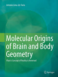 Molecular Origins of Brain and Body Geometry
