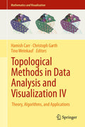 Mathematics and Visualization