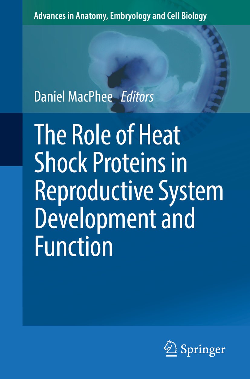 The Role of Heat Shock Proteins in Reproductive System Development and Function