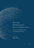 Global Perspectives on Wealth and Distribution