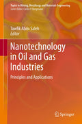 Topics in Mining, Metallurgy and Materials Engineering