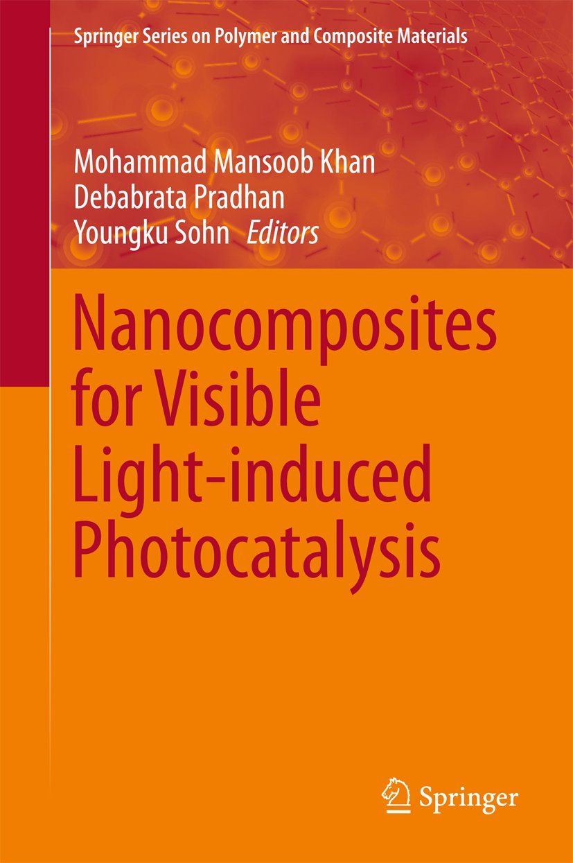 Springer Series on Polymer and Composite Materials
