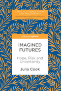 Critical Studies in Risk and Uncertainty