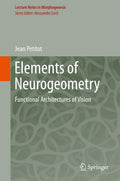 Lecture Notes in Morphogenesis