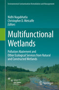 Environmental Contamination Remediation and Management