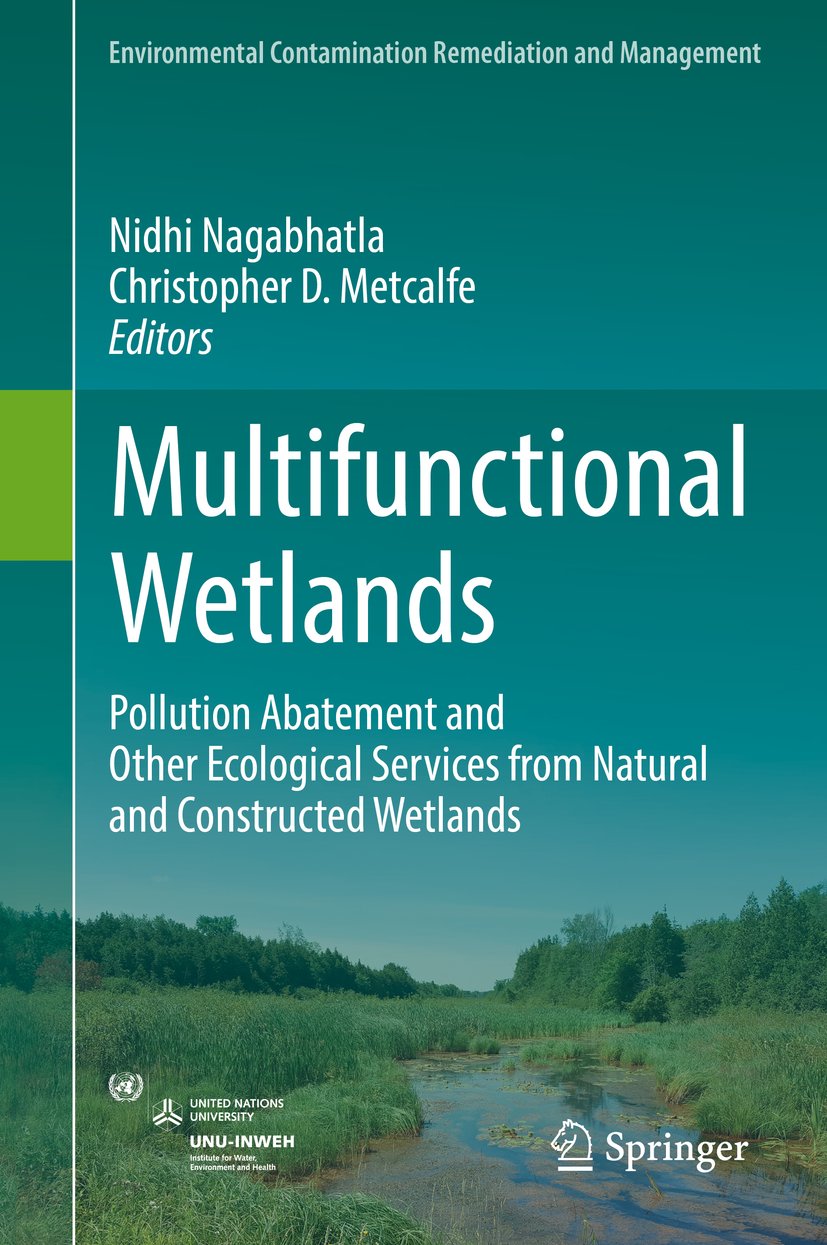 Environmental Contamination Remediation and Management