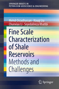 SpringerBriefs in Petroleum Geoscience & Engineering