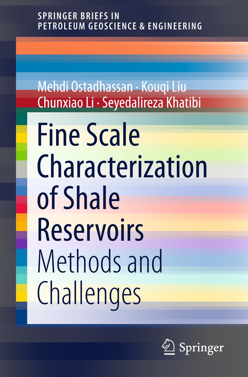 SpringerBriefs in Petroleum Geoscience & Engineering