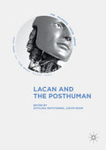 The Palgrave Lacan Series