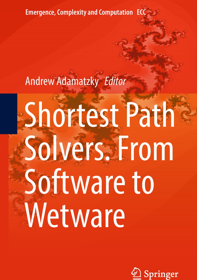 Emergence, Complexity and Computation
