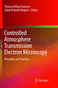 Controlled Atmosphere Transmission Electron Microscopy