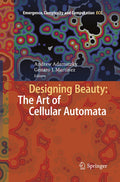 Emergence, Complexity and Computation