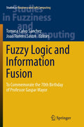 Studies in Fuzziness and Soft Computing