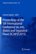 Springer Proceedings in Physics