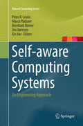 Natural Computing Series