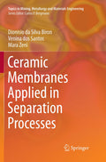 Topics in Mining, Metallurgy and Materials Engineering