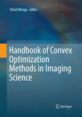 Handbook of Convex Optimization Methods in Imaging Science