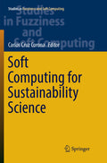 Studies in Fuzziness and Soft Computing