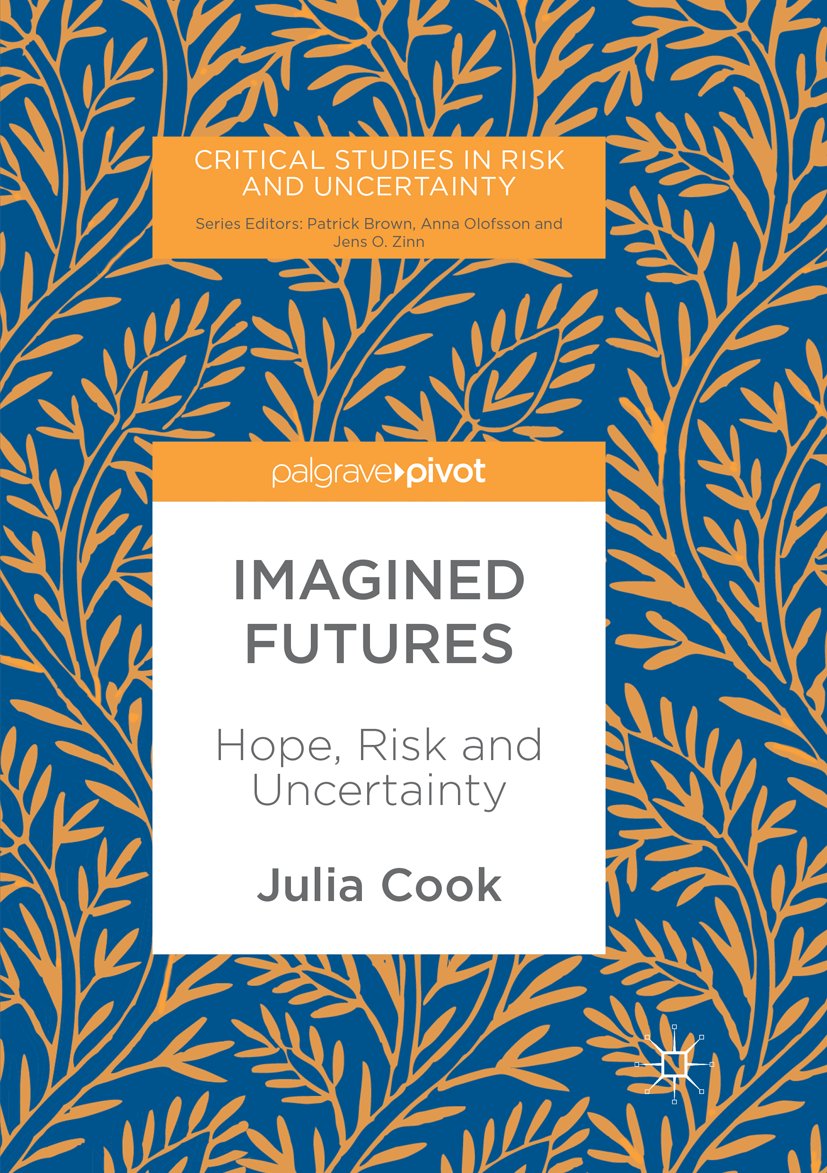 Critical Studies in Risk and Uncertainty